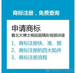 商标注册设计查询与咨询策划服务